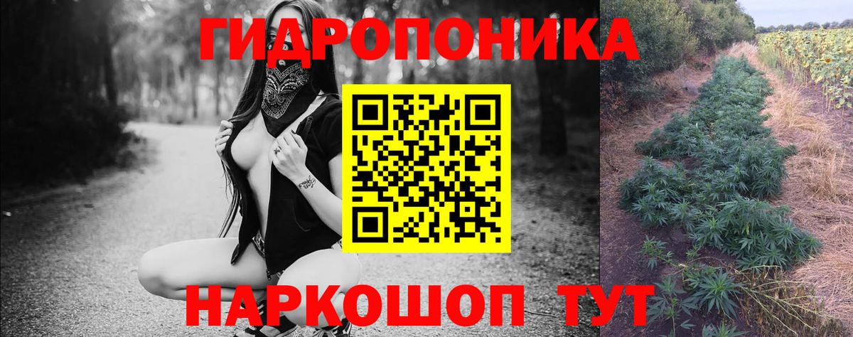 Шишки марихуана план  Вход с VPN  Лесозаводск  Канабис Ganja 